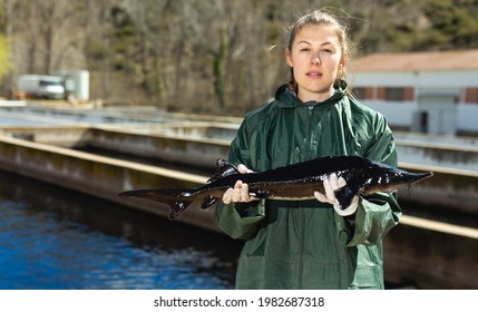 Female Fish Farm Worker Holding Adult Sturgeon Fish