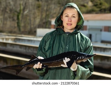 Female Fish Farm Worker Holding Adult Sturgeon Fish