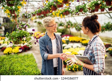 Female florist dressed in apron with tablet in hands shaking hands with customer while standing in greenhouse. - Powered by Shutterstock