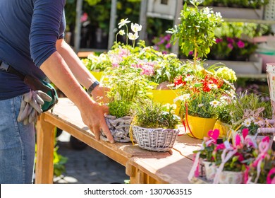 Female florist or gardener working in flower shop or nursery