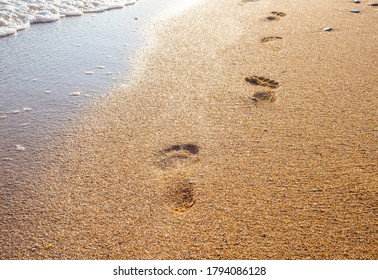 female footprints on wet sand at the water's edge by the sea. natural background, copy space