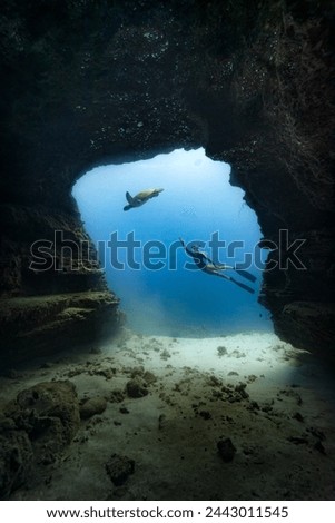 A female free diver interacts with a Pacific green sea turtle framed by an underwater cave opening in the clear blue waters of Hawaii. Model release provided.