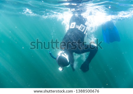 Female freediver in the middle of a duck dive on her way down to the ice cold depths of the north atlantic outside the shore of Norway in scandinavia.