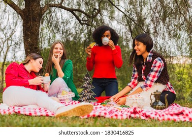 Female friends at Christmas picnic. Women friends enjoy tea time. Friends lying in the park. Christmas and outdoors concept. - Powered by Shutterstock