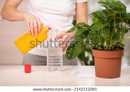 A female gardener fertilizes a potted plant on a wooden table. Home gardening. Feeding concept plants to grow. Monstera Monkey Mask. dilution of fertilizer in water for watering indoor flowers Stock photo © 