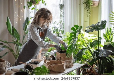 Female gardener hands mixing priming ground soil in plastic box for variegated monstera transplant on table top view closeup. Woman home garden exotic plant growth care use drainage sand pot - Powered by Shutterstock