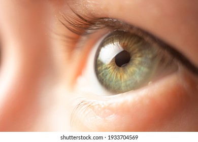 Female green eye close up - Shutterstock ID 1933704569