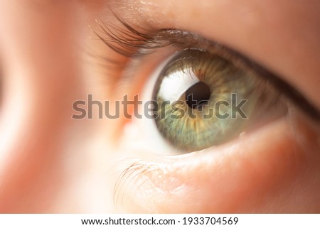 Female green eye close up