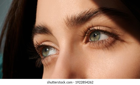 Female Green Eyes With Long Eyelashes Close Up. Look Away