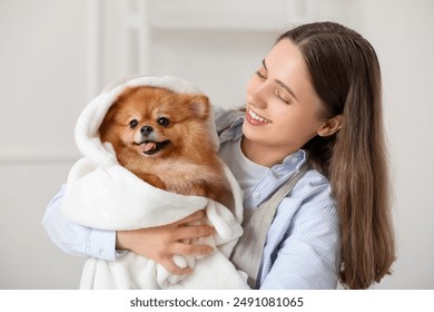 Female groomer wiping Pomeranian dog's hair after washing in salon - Powered by Shutterstock