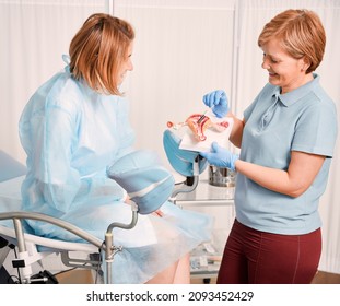 Female Gynecologist Pointing At Uterine Ovary Anatomical Model And Smiling While Patient Sitting On Gynecological Chair. Young Woman Having Appointment With Doctor In Modern Gynecological Clinic.