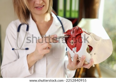 Female gynecologist shows location of pelvis with muscles. Doctor-teacher demonstrates pelvic bones to her students close up.