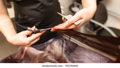 Female Haircut With Scissors In The Beauty Salon