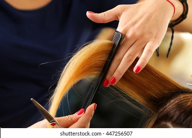 Female hairdresser hold in hand between fingers lock of blonde hair, comb and scissors closeup. Keratin restoration, latest trend, fresh idea, haircut picking, shorten tips, instrument store concept - Shutterstock ID 447256507