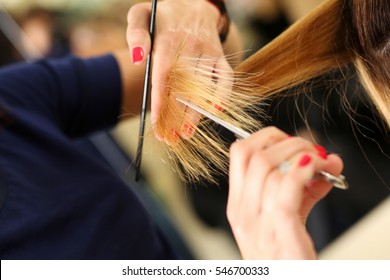 Female hairdresser hold in hand between fingers lock of blonde hair, comb and scissors closeup. Keratin restoration, latest trend, fresh idea, haircut picking, shorten tips, instrument store concept