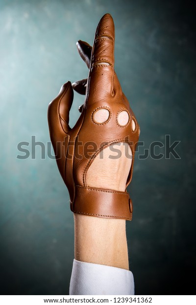 Female hand in a\
beautiful leather glove