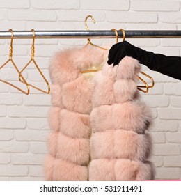 Female Hand In Black Velvet Glove Tacking Fashionable Luxurious Waist Coat Of Beige Fur From Rack On Golden Hangers On Brick Wall Studio Background