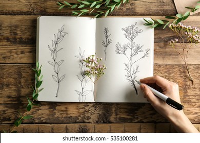 Female hand drawing plants in sketchbook on wooden background