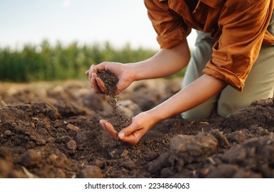 Female Hand of expert farmer collect soil and checking soil health before growth a seed of vegetable or plant seedling. Agriculture, gardening or ecology concept. - Shutterstock ID 2234864063