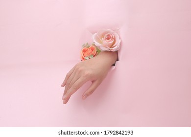 Female Hand With Flower Paper For Design Or Art And Makeup Editorial