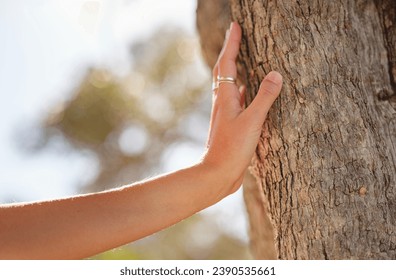 female hand gently touches bark of old olive tree. embracing fresh air and engaging in outdoor activities. Friluftsliv concept means spending as much time outdoors as possible - Powered by Shutterstock