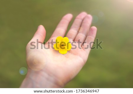 Female hand give yellow flower on green background. Symbol of generosity, hope, gift, care. Soulful concept