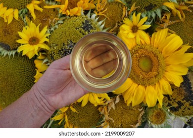 Female Hand With A Glass Of Oil And Flat Lay Background With Diverse Sunflowers. - Shutterstock ID 2199009207