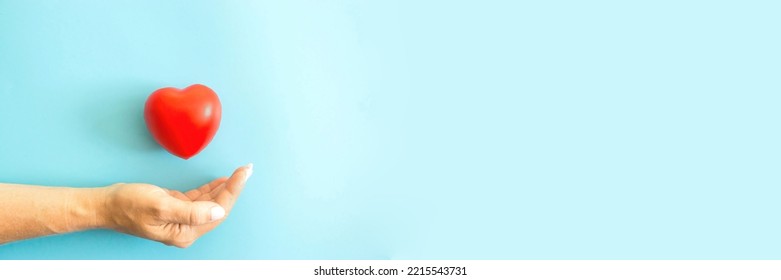 Female Hand Heart On A Blue Background, Banner, Right Copyspace. Women's Health Is Under Protection, A Woman's Love. Heart Research Medical. Cardiology Practice.