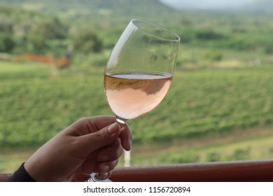 Female Hand Hold A Tilt Wine Glass In A Grape Farm