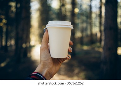 female hand holding a blank paper cup in a wooded landscape background