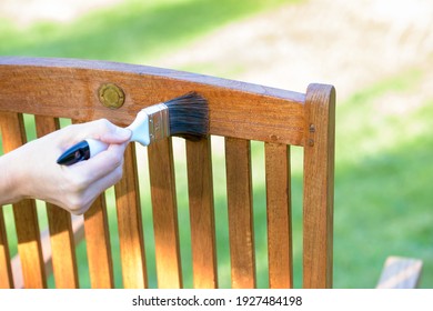 Female Hand Holding A Brush Applying Varnish Paint On A Wooden Garden Chair - Painting And Caring For Wood With Oil