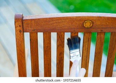 Female Hand Holding A Brush Applying Varnish Paint On A Wooden Garden Chair - Painting And Caring For Wood With Oil