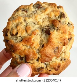 Female Hand Holding Chocolate Chip Cookie