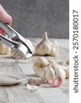 Female hand holding garlic press. Group of fresh organic garlic bulbs. Selective focus. 