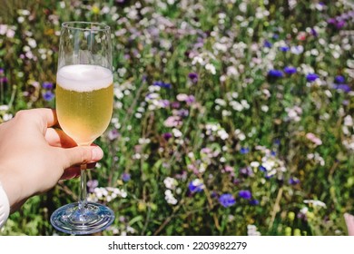 Female Hand Holding A Glass Of White Sparkling Wine On The Background Of Blooming Meadow, Summer Picnic