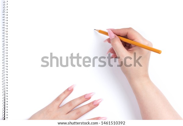 アルバムの白い例の紙に鉛筆を持つ女性の手 の写真素材 今すぐ編集