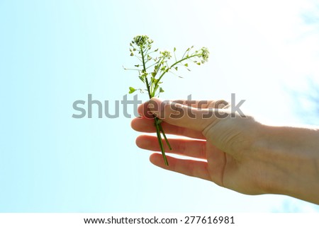 Similar – Image, Stock Photo Dirty boy hands holding small young herbal sprout plant