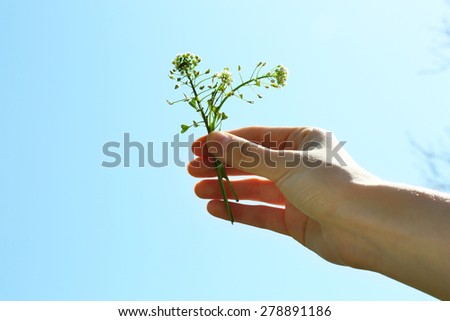 Similar – Image, Stock Photo Dirty boy hands holding small young herbal sprout plant