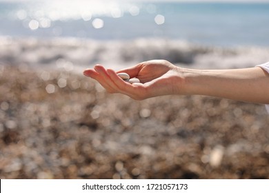 female hand holding small pebble stones in hand near blue sea on a beach background, picking up pebbles on the stone beach, round shape pebbles, summer vacation souvenir, beach day, selective focus - Powered by Shutterstock