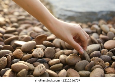 female hand holding small pebble stones picking up pebbles, round shape pebbles, summer vacation souvenir, - Powered by Shutterstock