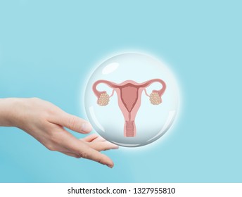 female hand holding a virtual uterus and ovaries model. Female reproductive system