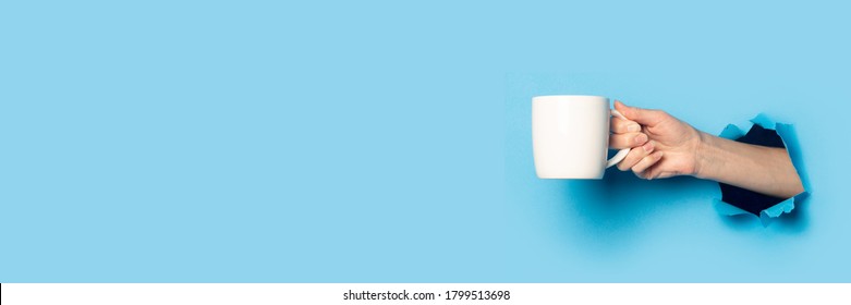 Female Hand Holding A White Cup On A Bright Blue Background. Banner.