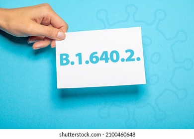 female hand holds a blank piece of paper with text for SARS-CoV-2 Coronavirus variant B.1.640.2. in front of a light blue background cardboard
