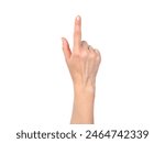 Female hand isolated on a white background. A woman