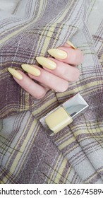 Female hand and long nails   bottle pale yellow cream nail polish