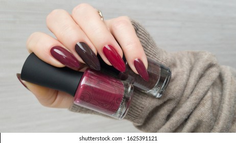 Female hand and long nails   dark red burgundy manicure holds bottle nail polish