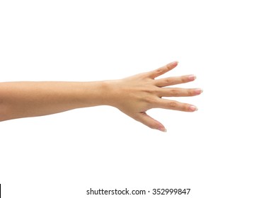 female hand on the isolated on white background - Shutterstock ID 352999847