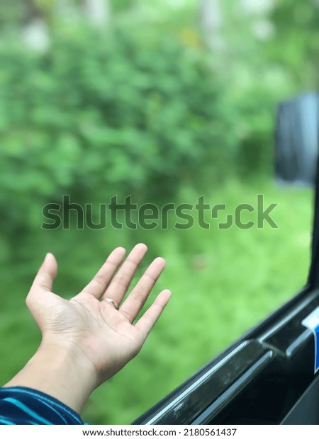 a female hand out of car window with a green\
nature background