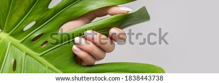 Female hand with pink nail design. Rose nail polish manicure. Female hand hold green leaf on grey background, banner