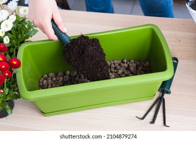 Female Hand Pouring Soil Into Pot For Transplanting Spring Flowers